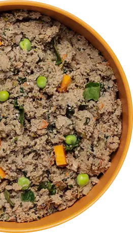 Alimento procesado